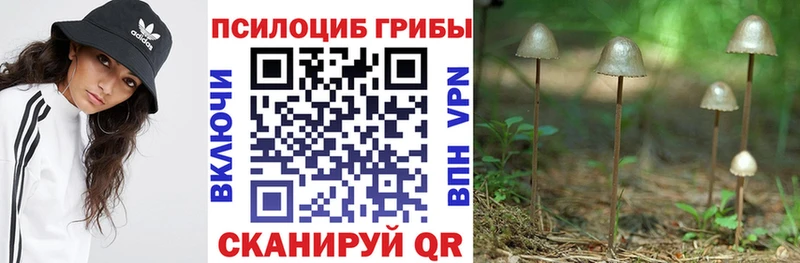 сколько стоит Рассказово Псилоцибиновые грибы Cubensis