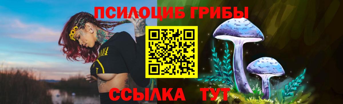 Галлюциногенные грибы мухоморы  Вход с VPN  Рассказово 
